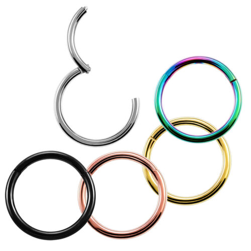 Hinged Segment Rings / Seamless Clicker Rings