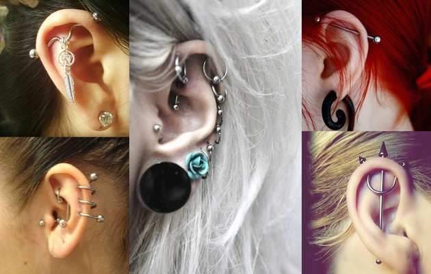 Body Jewelry Collections by Ear Piercing Style