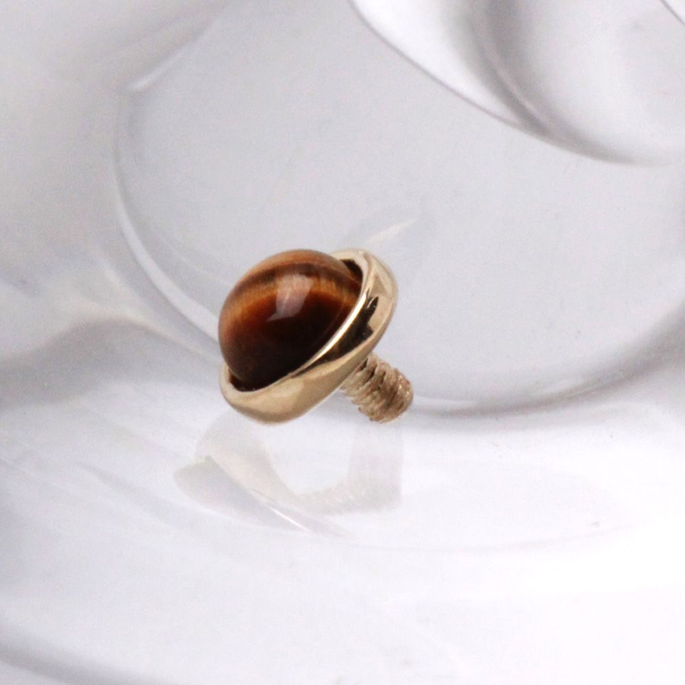 Dermals 14K Yellow Gold Round Dermal Top w/ Tiger Eye Stone -Rebel Bod-RebelBod