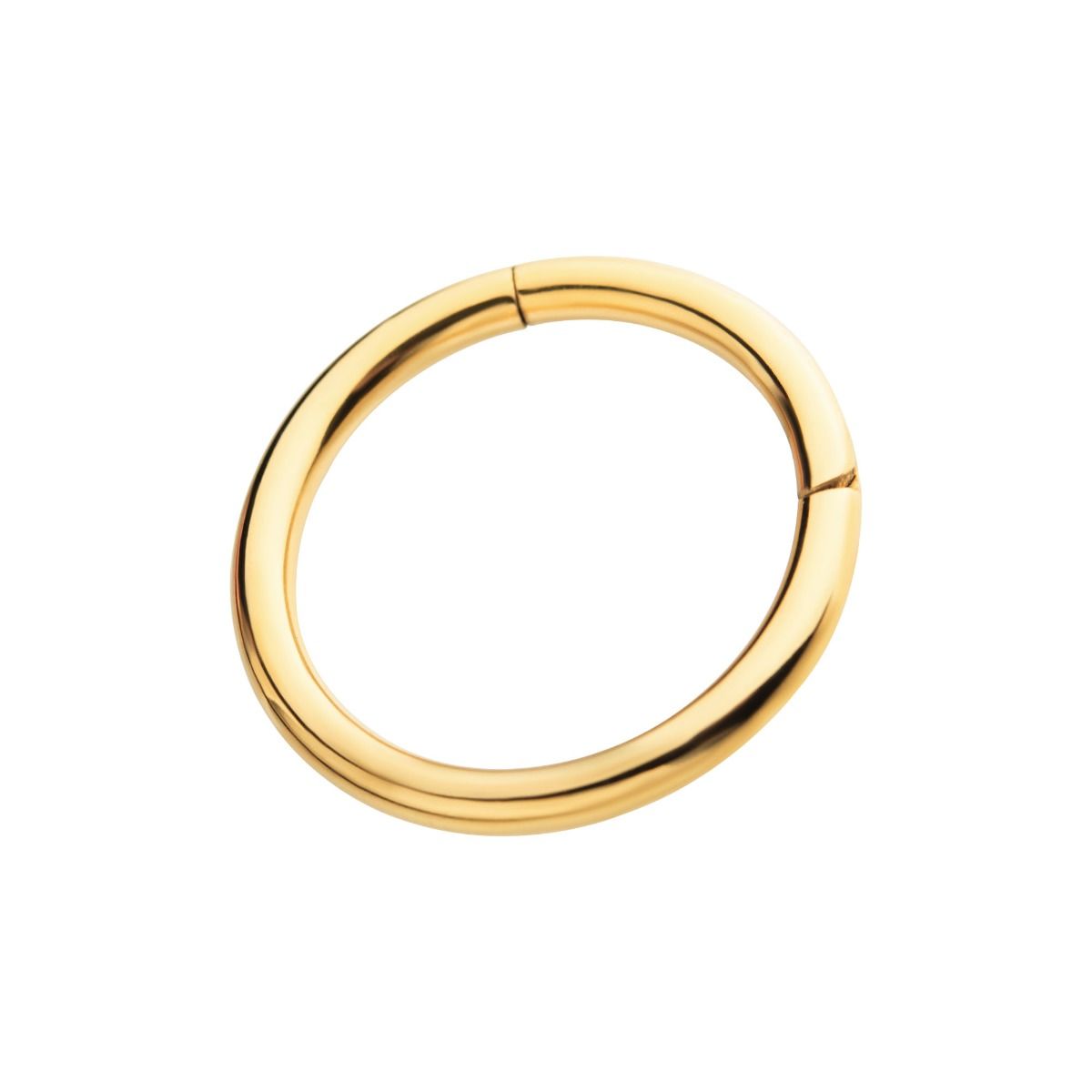 SEAMLESS CLICKER 24KT Gold PVD Titanium Hinged Segment Clicker Ring -Rebel Bod-RebelBod