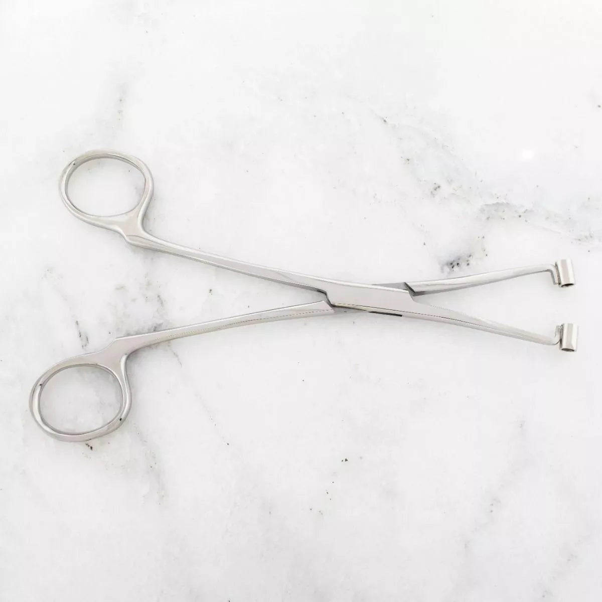 Tools 6&quot; Long High Grade 410 Surgical Steel Septum Forceps. Tubes Are Big Enough to Allow a 10g Needle to Pass Through w/ Ease.  - 1 Piece -Rebel Bod-RebelBod