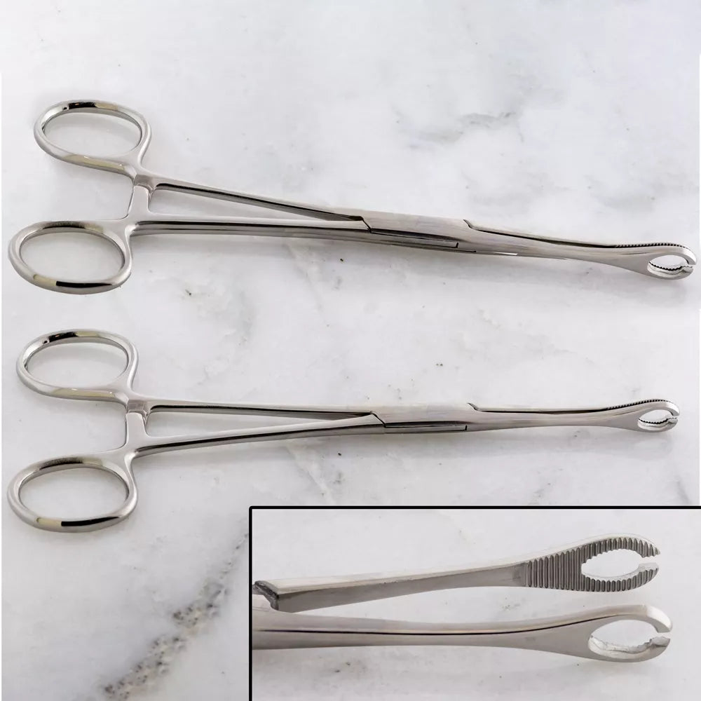 Tools Forceps Sponge Slotted w/ Ratchet  - 1 Piece -Rebel Bod-RebelBod