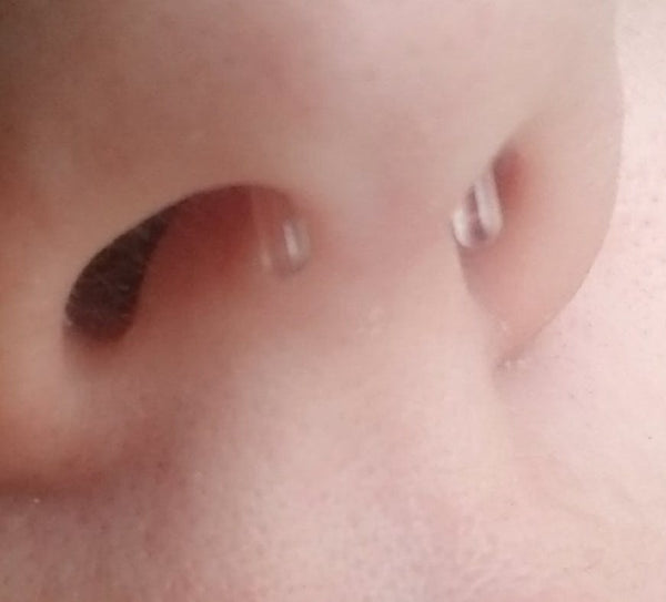 Glass Septum Staples Septum Retainers 1 Piece Rebel Bod