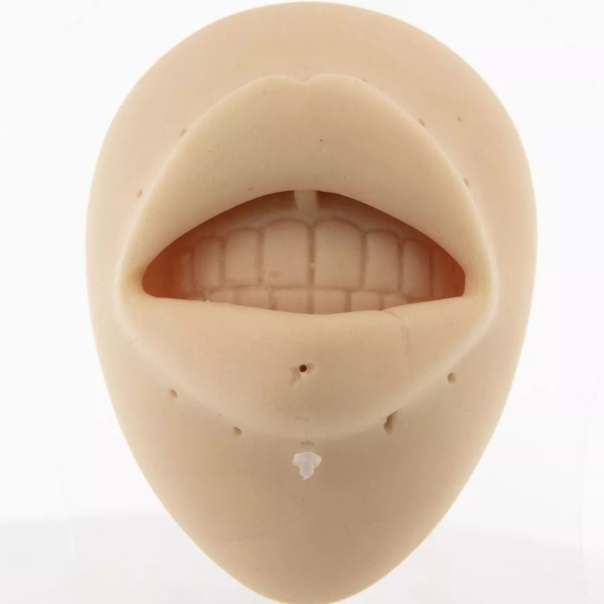 Retainers Labret Retainer - 1 Piece #SPLT#6 -Rebel Bod-RebelBod