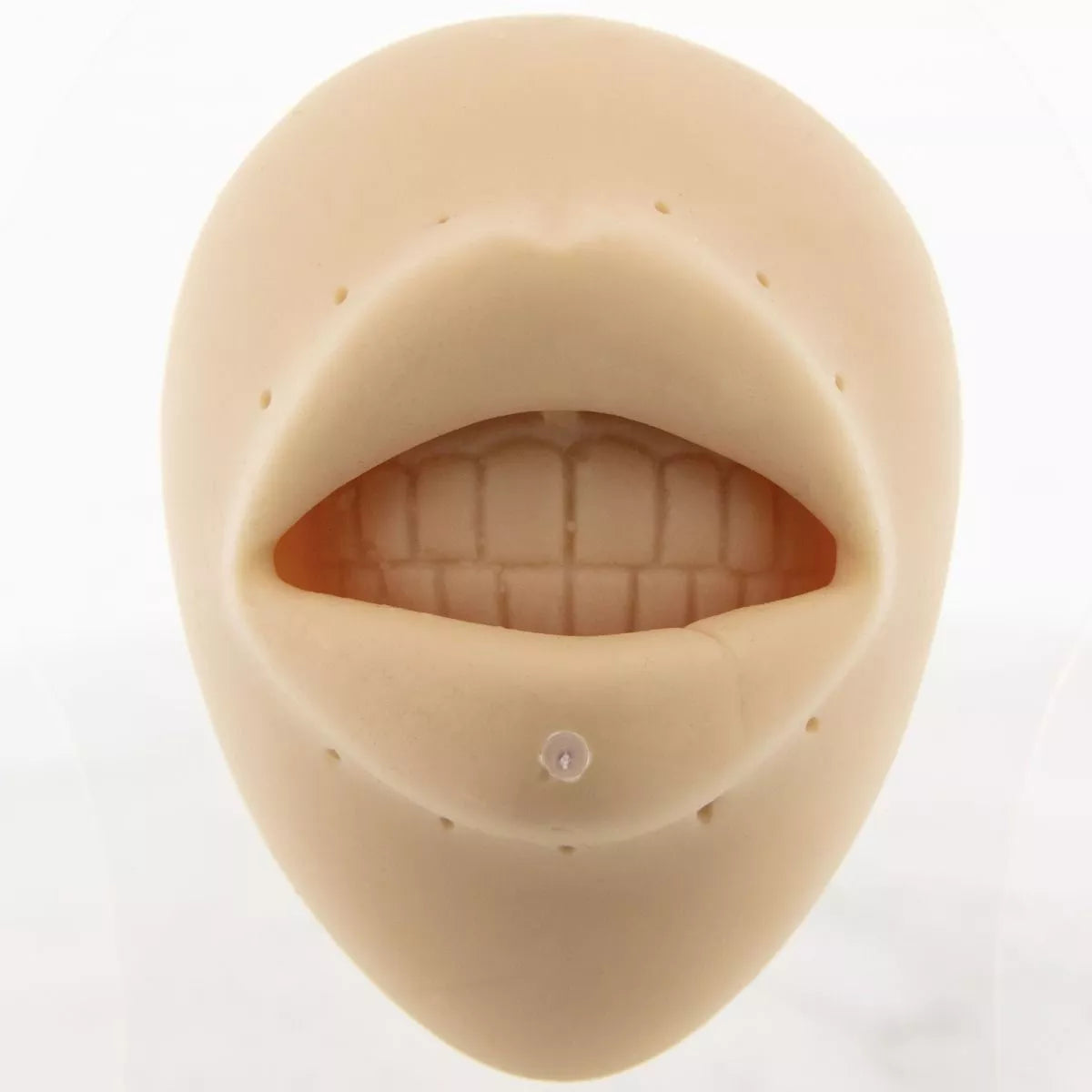 Retainers Labret Retainer - 1 Piece #SPLT#6 -Rebel Bod-RebelBod