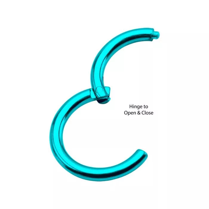 SEAMLESS CLICKER Teal Titanium PVD Clicker Hinged Segment Ring sbvsgrht - 1 Piece -Rebel Bod-RebelBod