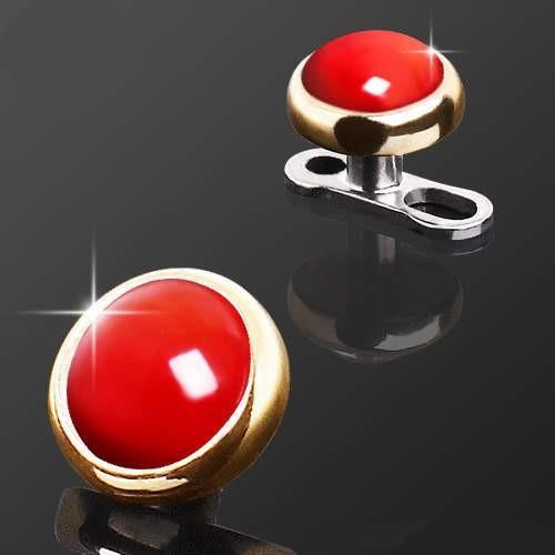 14K Gold Round Dermal Top w/ Red Coral