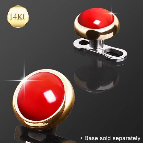14K Gold Round Dermal Top w/ Red Coral