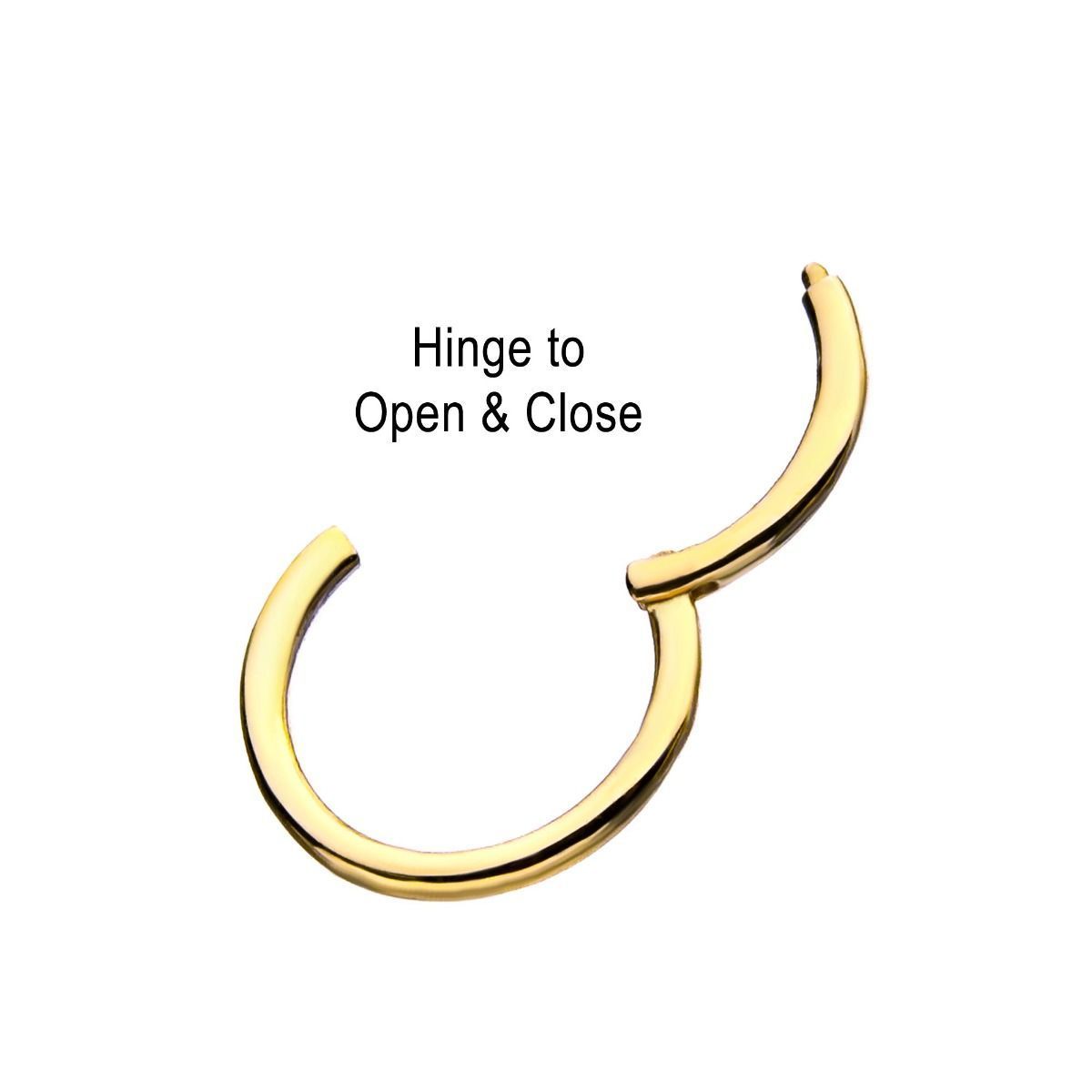 SEAMLESS CLICKER 14kt Gold Clicker Hinged Segment Ring. sbv14kgsgrh -Rebel Bod-RebelBod