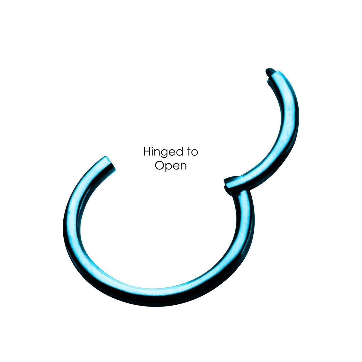 SEAMLESS CLICKER Blue Titanium Plated Hinged Segment Rings sbvsgrhb -Rebel Bod-RebelBod