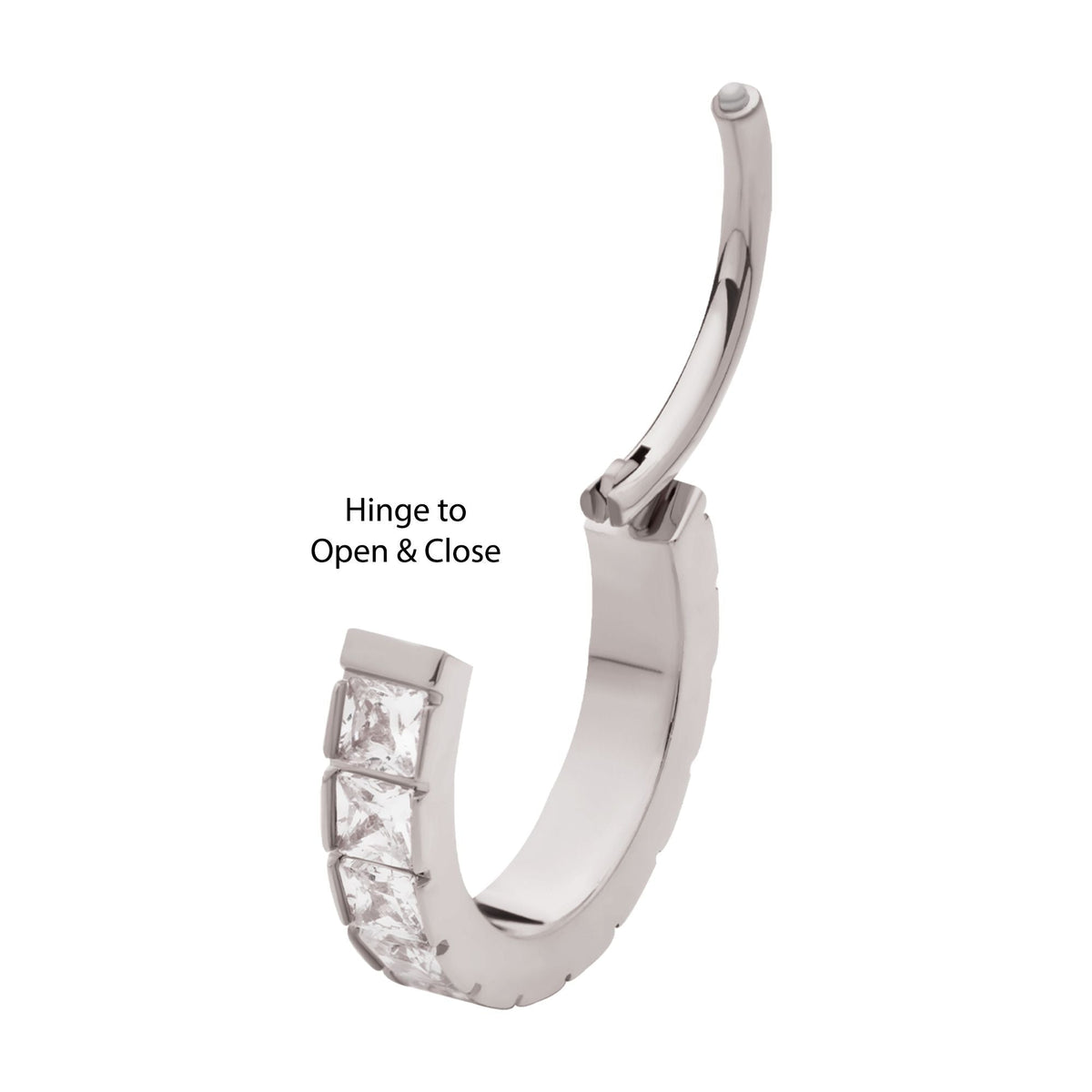 SEAMLESS CLICKER CNC Set Full Clear CZ Side Facing Hinged Segment Clicker -Rebel Bod-RebelBod