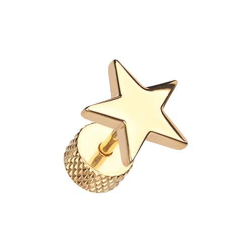 Golden Nova Star Fake Plug - 1 Pair