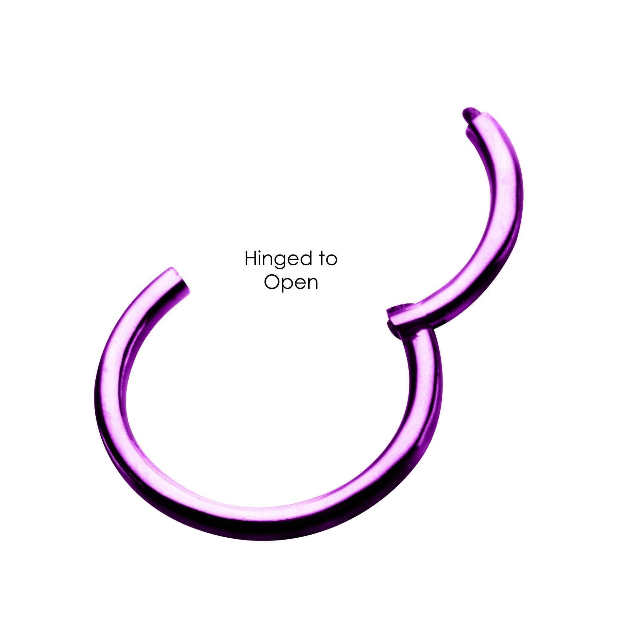 SEAMLESS CLICKER Purple Titanium Plated Clicker Hinged Segment Ring sbvsgrha -Rebel Bod-RebelBod