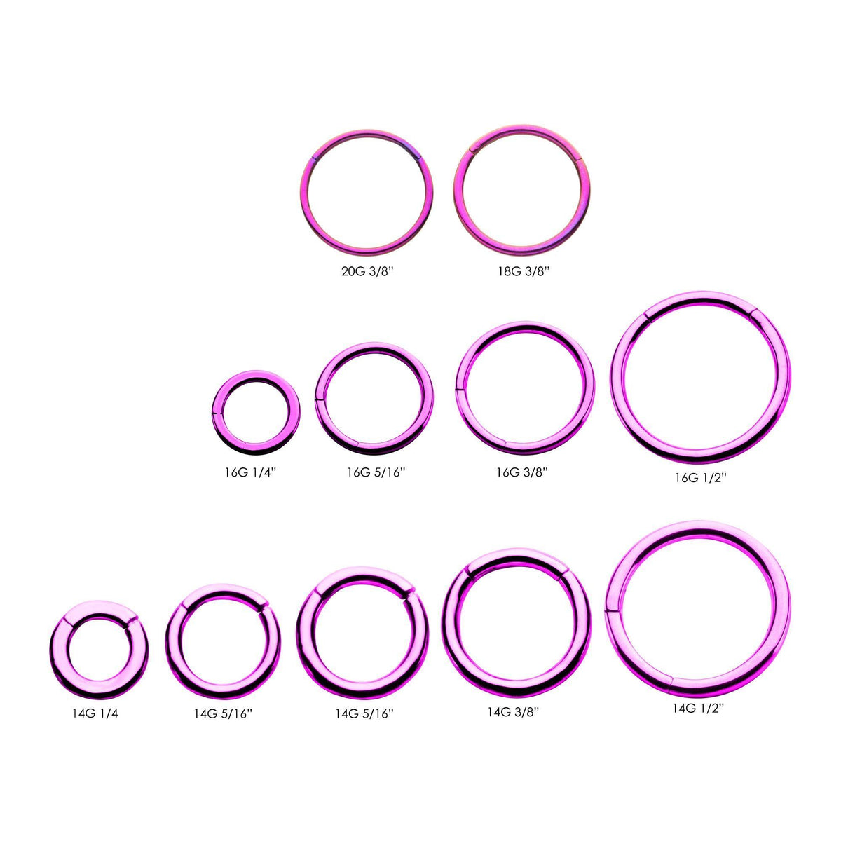 SEAMLESS CLICKER Purple Titanium Plated Clicker Hinged Segment Ring sbvsgrha -Rebel Bod-RebelBod