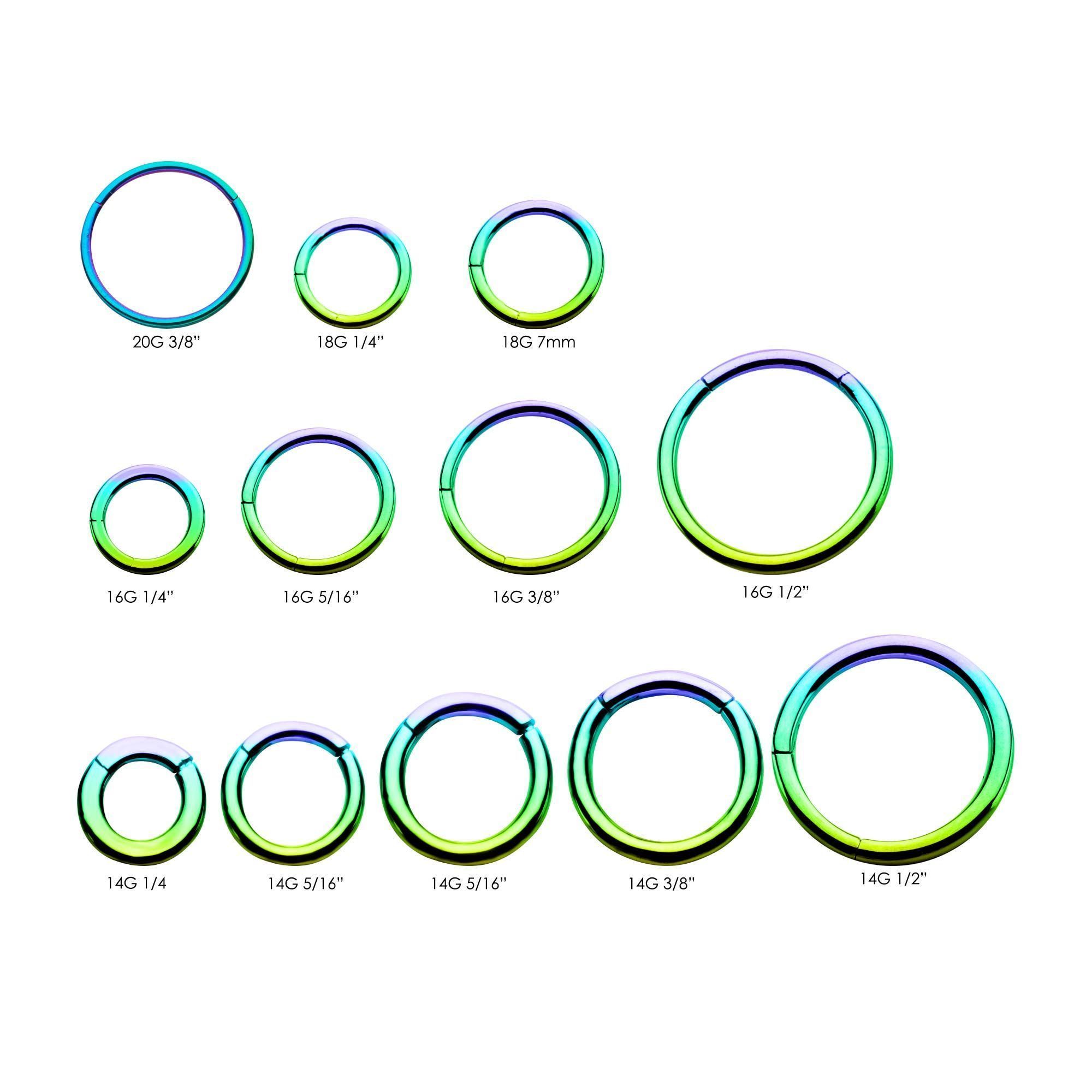 SEAMLESS CLICKER Rainbow Titanium Plated Clicker Hinged Segment Ring sbvsgrhw -Rebel Bod-RebelBod