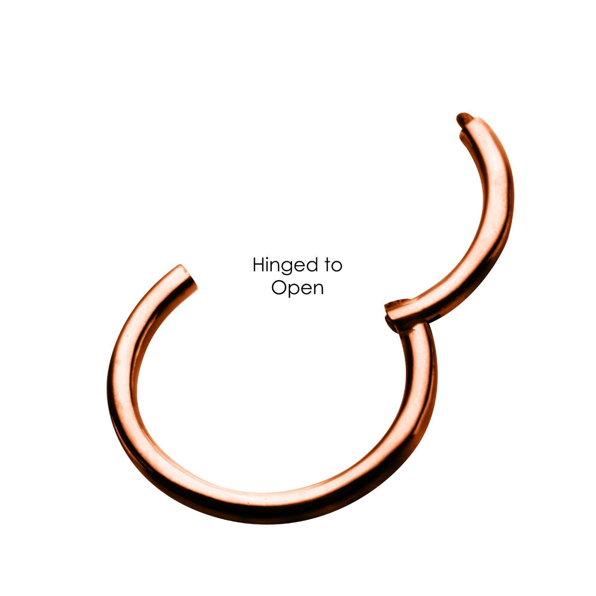 SEAMLESS CLICKER Rose Gold Plated Clicker Hinged Segment Ring sbvsgrhrg -Rebel Bod-RebelBod