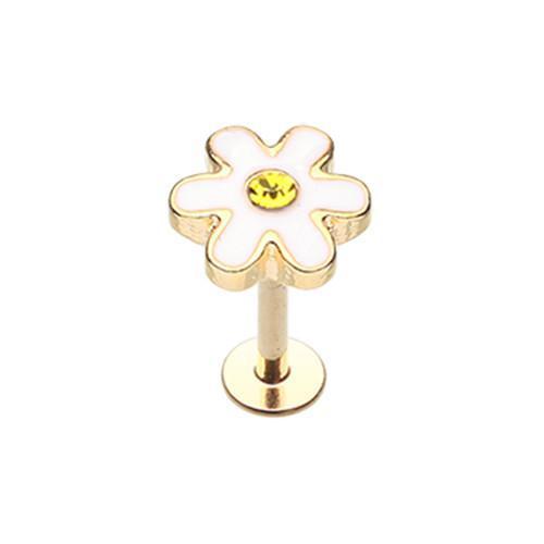 White/Yellow Golden Adorable Daisy Labret